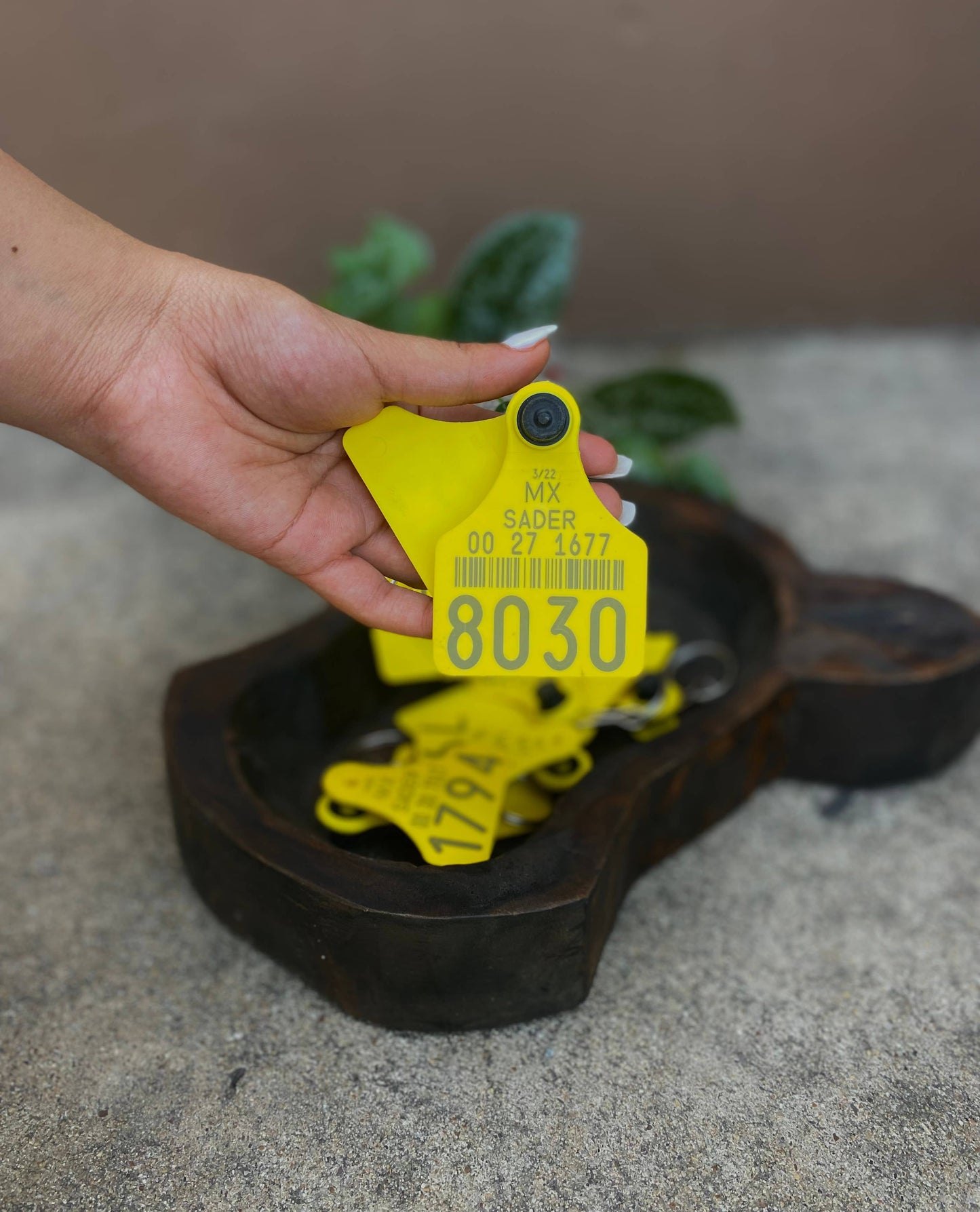 Cattle Ear Cow Tags Keychain - Yellow